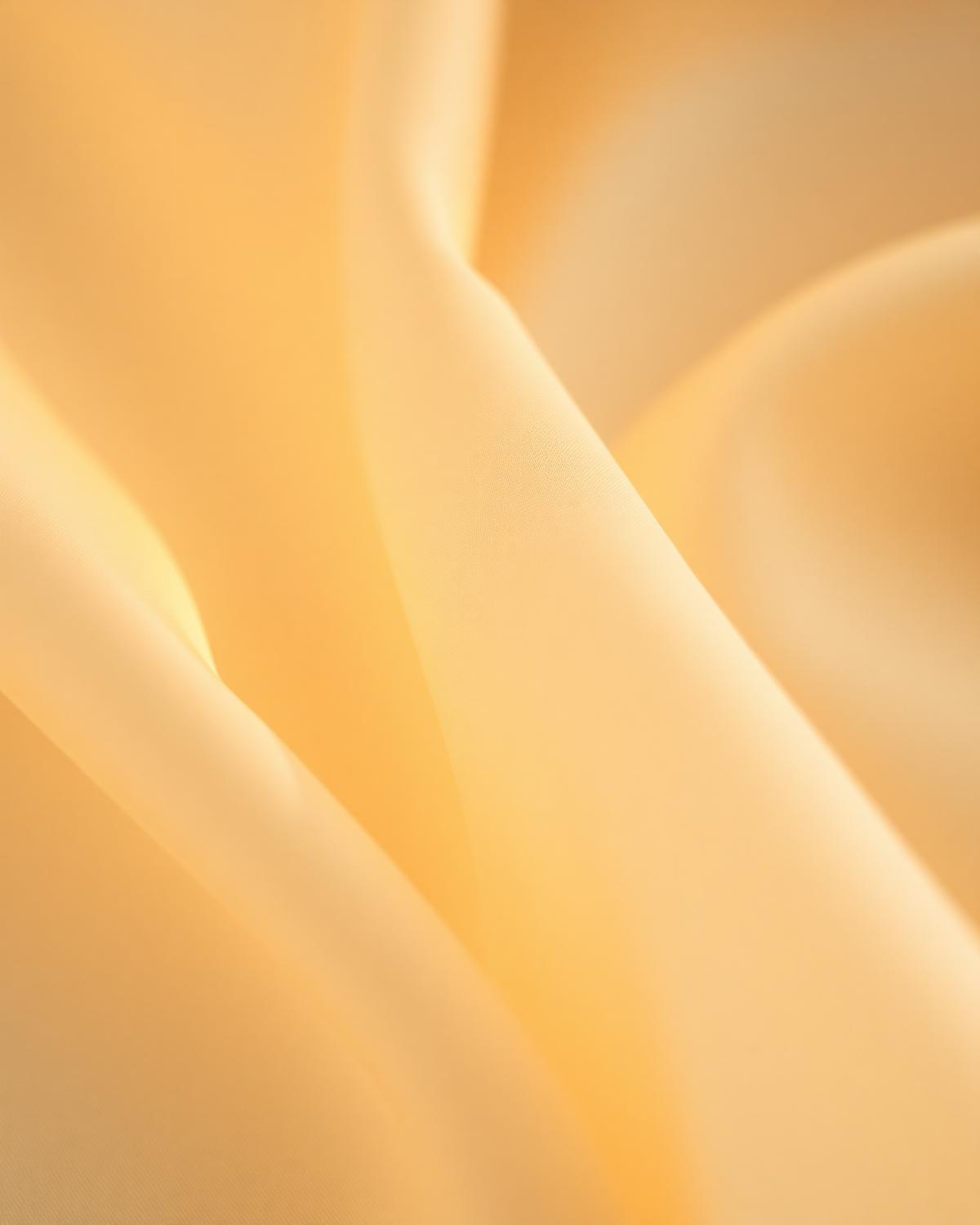 Cream silk catching golden dawn light